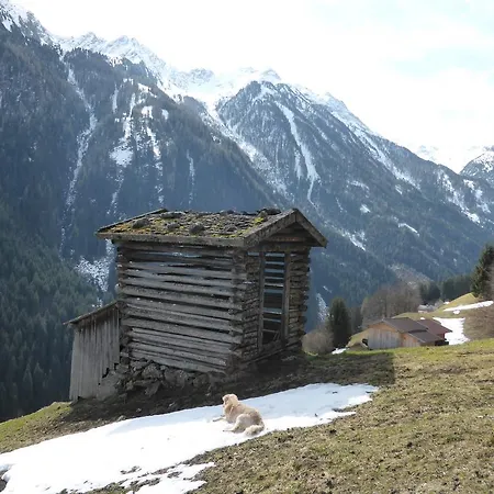 Bed and breakfast Steinadler 4*