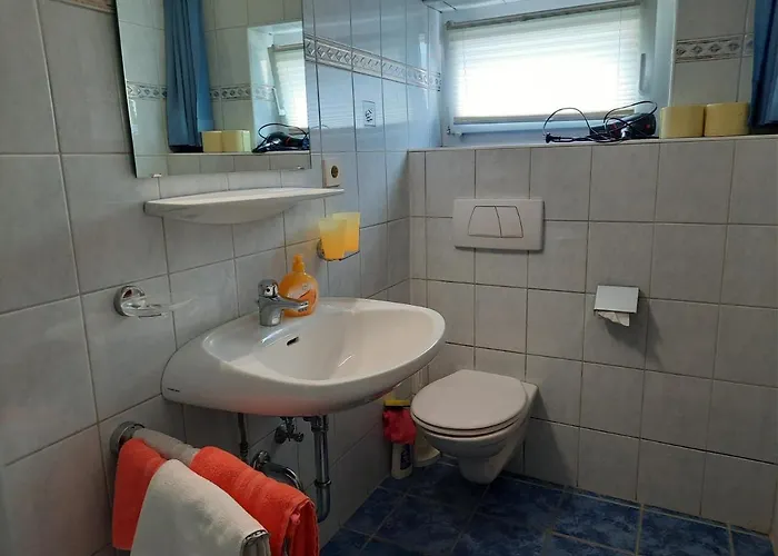 Steinadler Neustift im Stubaital